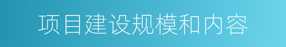 项目建设规模和内容的同义词