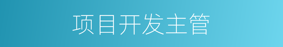 项目开发主管的同义词