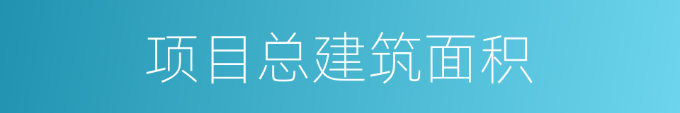 项目总建筑面积的同义词