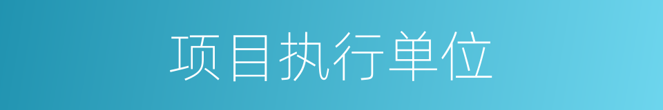 项目执行单位的同义词