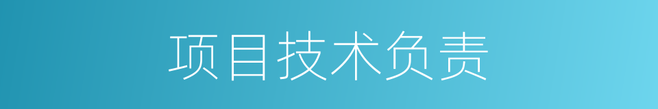 项目技术负责的同义词