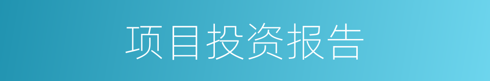 项目投资报告的同义词