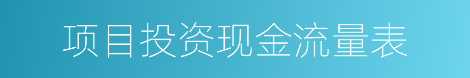 项目投资现金流量表的同义词