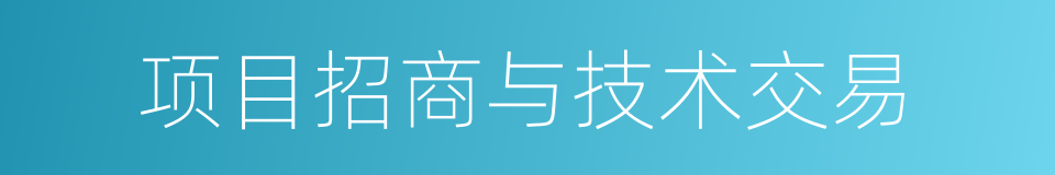 项目招商与技术交易的同义词