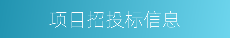 项目招投标信息的同义词