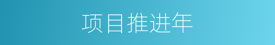 项目推进年的同义词