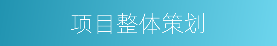 项目整体策划的同义词