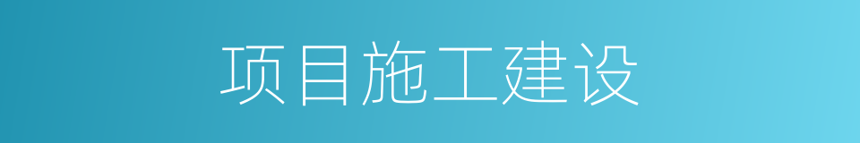 项目施工建设的同义词