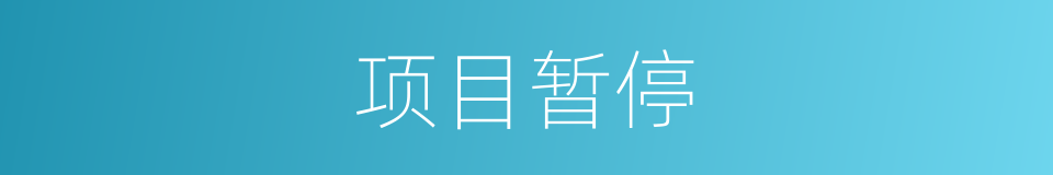 项目暂停的同义词
