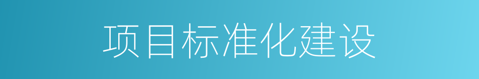 项目标准化建设的同义词