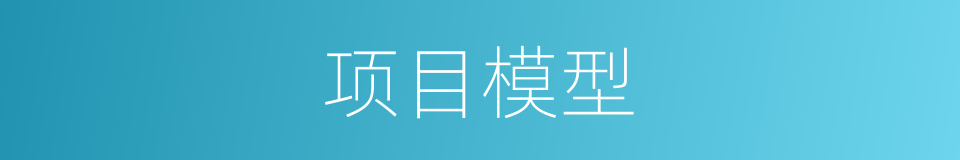 项目模型的同义词