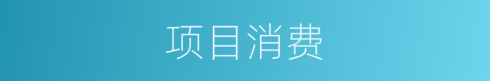 项目消费的同义词