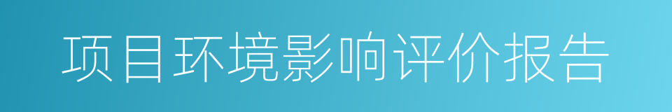 项目环境影响评价报告的同义词