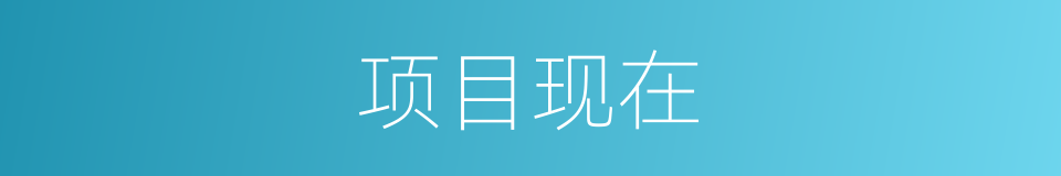 项目现在的意思