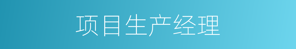 项目生产经理的同义词
