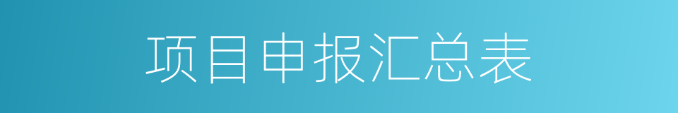 项目申报汇总表的同义词