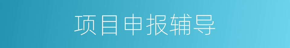 项目申报辅导的同义词