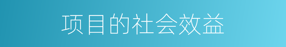 项目的社会效益的同义词