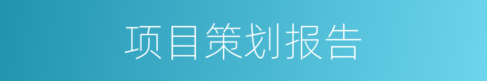 项目策划报告的同义词