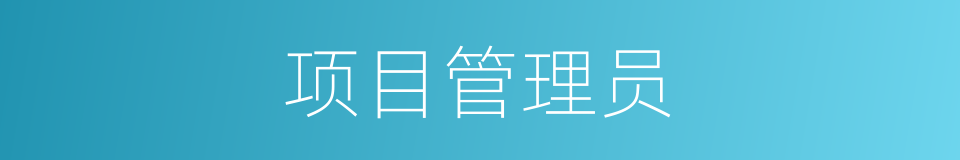 项目管理员的同义词