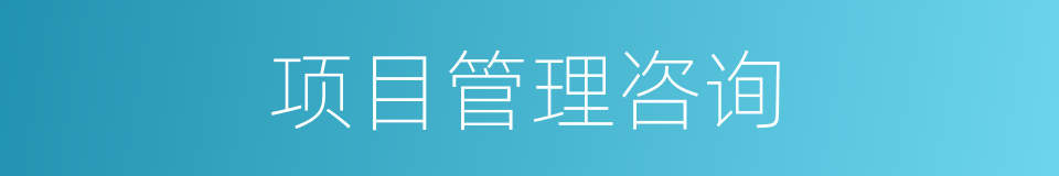 项目管理咨询的同义词
