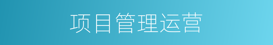 项目管理运营的同义词