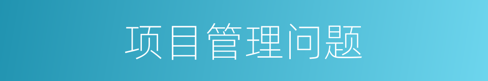 项目管理问题的同义词