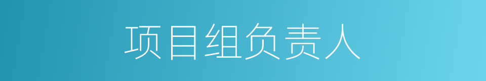 项目组负责人的同义词