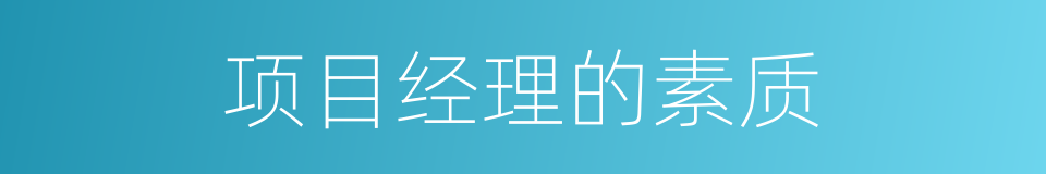项目经理的素质的同义词