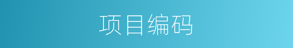 项目编码的同义词