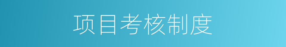 项目考核制度的同义词