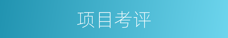 项目考评的同义词