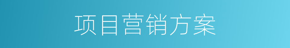 项目营销方案的同义词