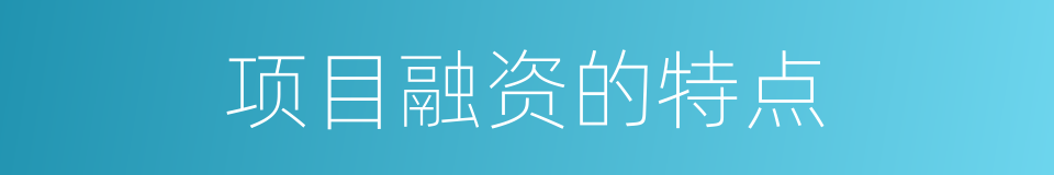 项目融资的特点的同义词