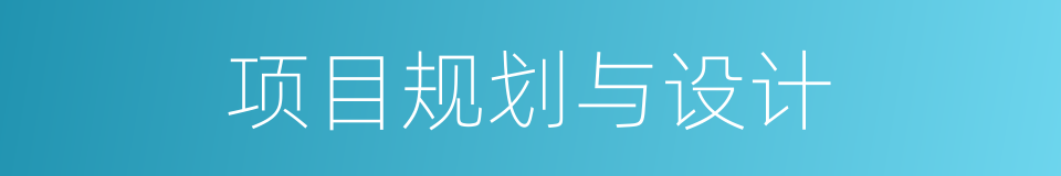 项目规划与设计的同义词