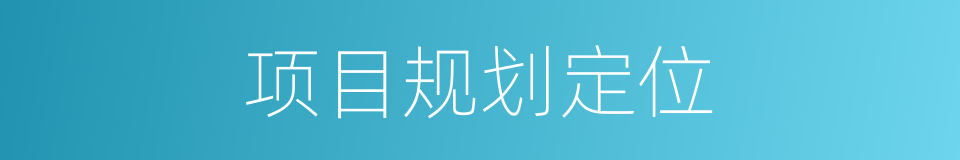 项目规划定位的同义词