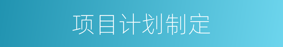项目计划制定的同义词
