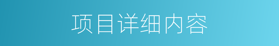 项目详细内容的同义词