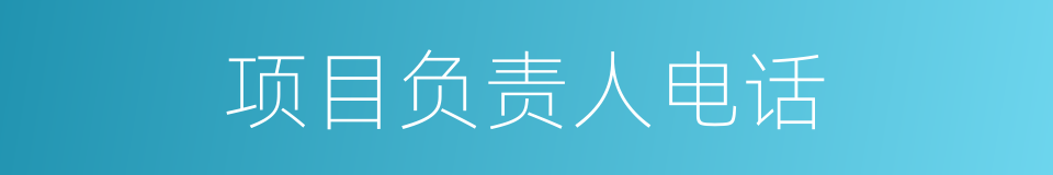 项目负责人电话的同义词