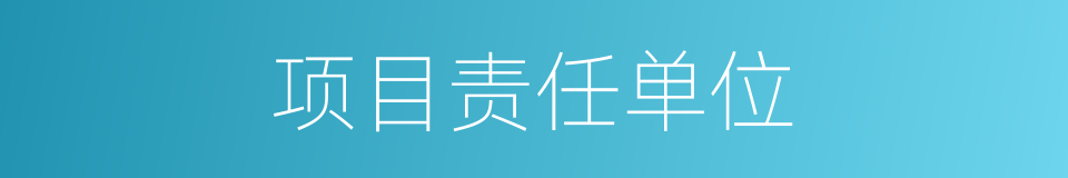 项目责任单位的同义词