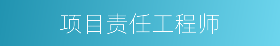 项目责任工程师的同义词