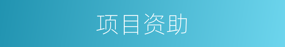 项目资助的同义词