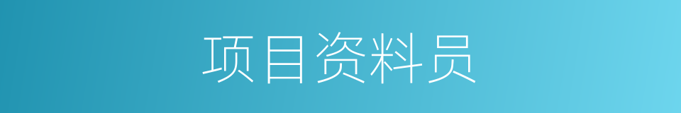 项目资料员的同义词