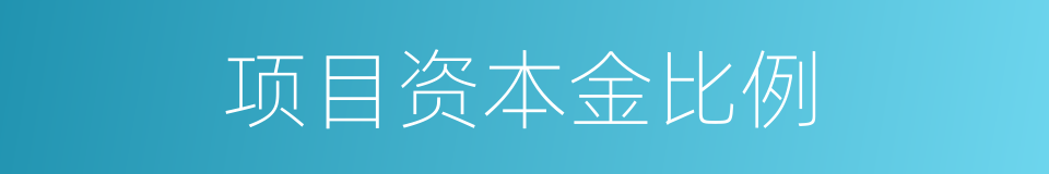 项目资本金比例的同义词