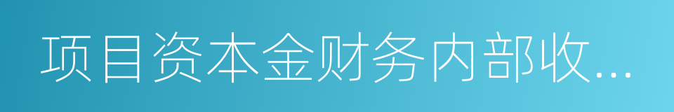 项目资本金财务内部收益率的同义词