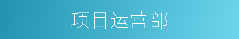 项目运营部的同义词