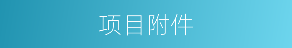 项目附件的同义词