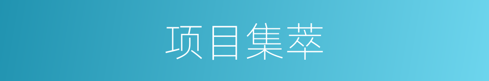 项目集萃的同义词
