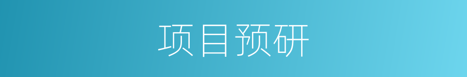 项目预研的同义词