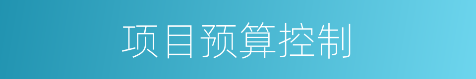 项目预算控制的同义词